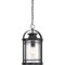 Quoizel Booker 1-Light Mystic Black Mini Pendant BKR1510K - alternate 5